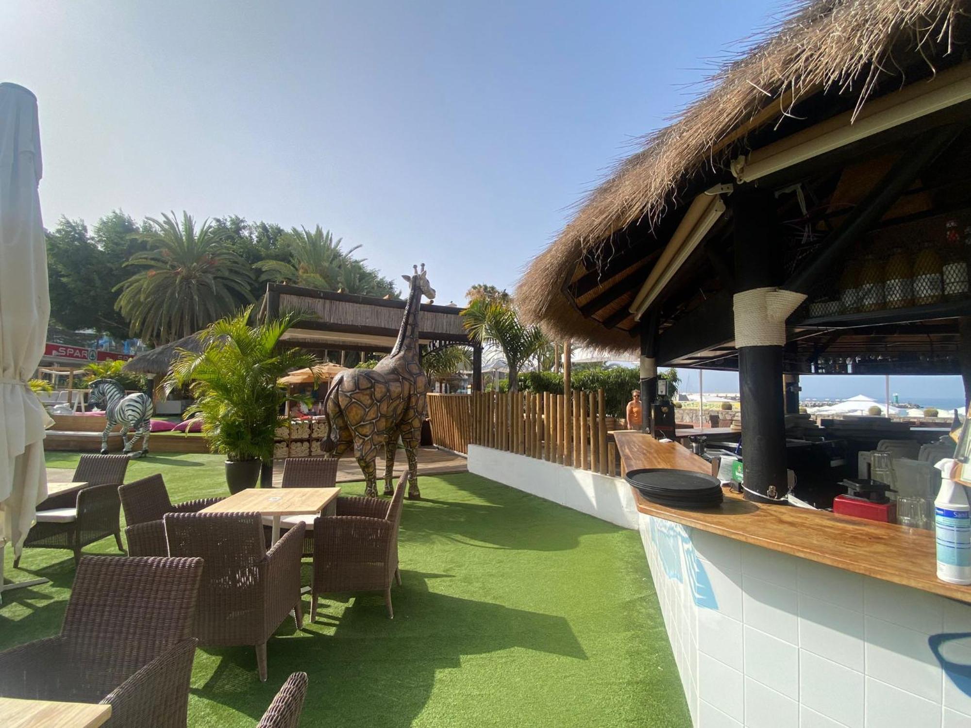 New Renovated Family Home Above Swimming Pool Puerto Rico  Bagian luar foto