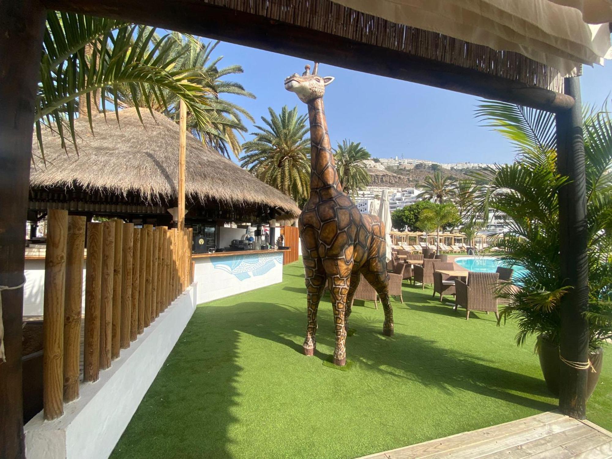 New Renovated Family Home Above Swimming Pool Puerto Rico  Bagian luar foto